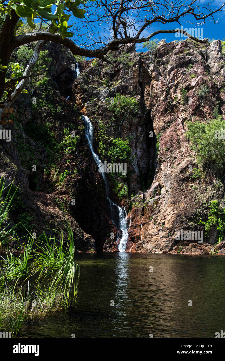 Parc national, du tourisme, de l'Australie, cascade, piscine, inchangée, propre, danger, Banque D'Images