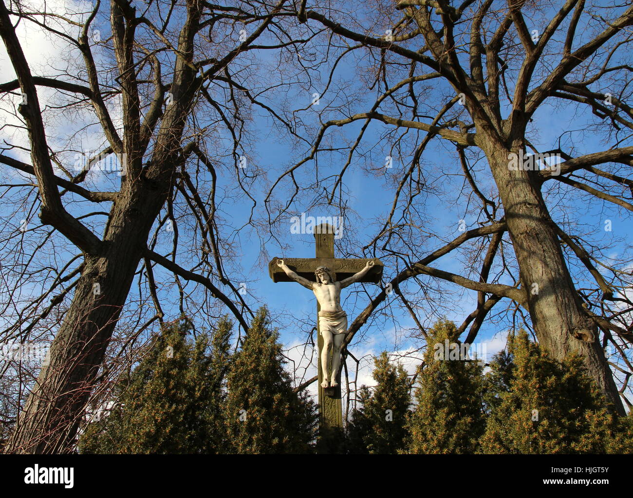 Arbre, ciel, paradis, croix, Jésus, arbre, ciel, paradis, croix, branche, Banque D'Images