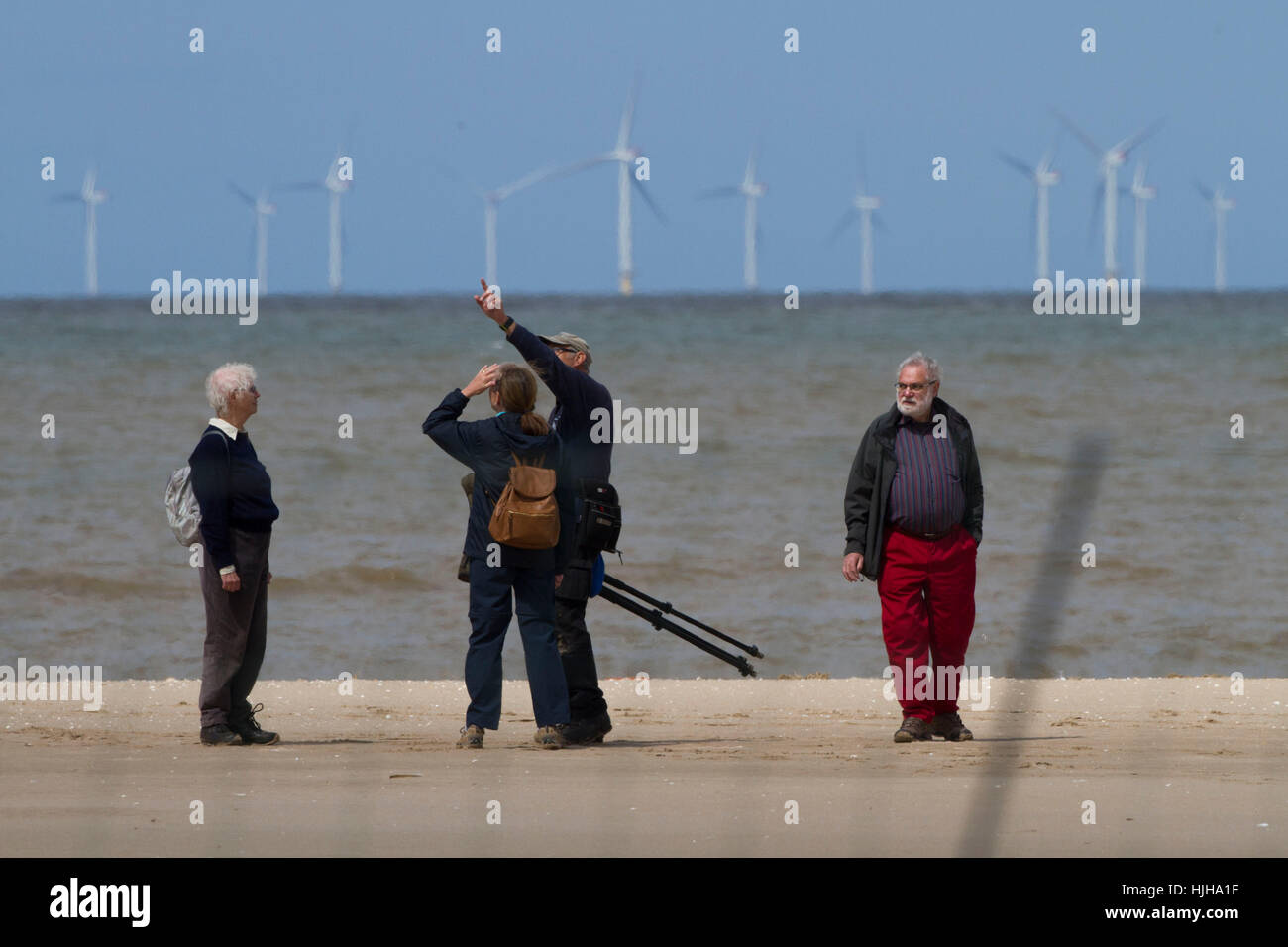 Les ornithologues amateurs regarder peu de sternes (Sterna albifrons) sur plage alondside colonie de reproduction . Phootgraphed dans colony Banque D'Images
