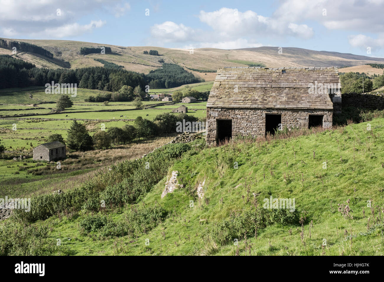 Domaine des granges dans Cotterdale, North Yorkshire, Angleterre Banque D'Images