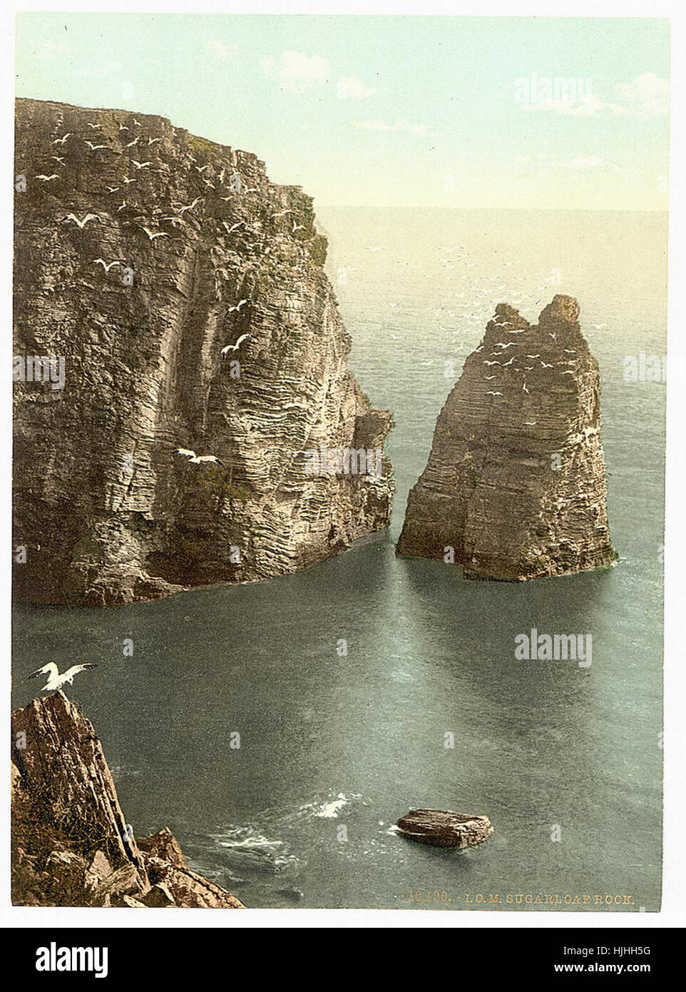 Menton, rocher du Pain de Sucre, Île de Man - Photochrom xixème siècle Banque D'Images