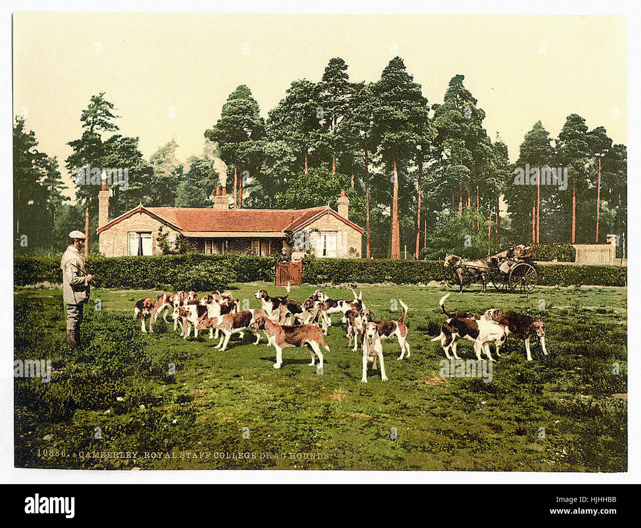 Le personnel du Royal College, faites glisser hounds, Camberley, Angleterre - Photochrom xixème siècle Banque D'Images