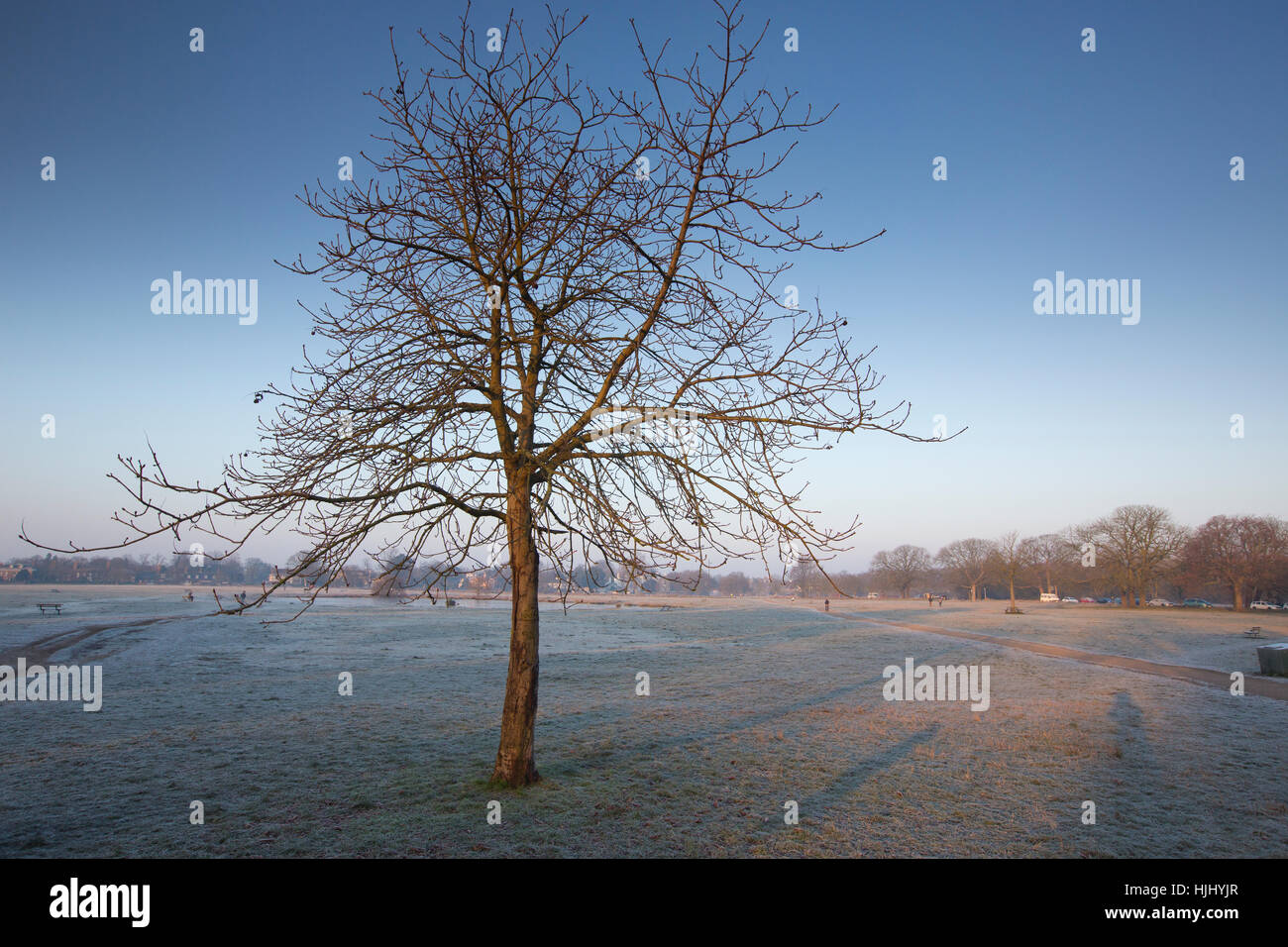 Tôt le matin, des températures de gel à l'étang de Rushmore, Wimbledon Common, dans le sud-ouest de Londres, Angleterre, Royaume-Uni Banque D'Images