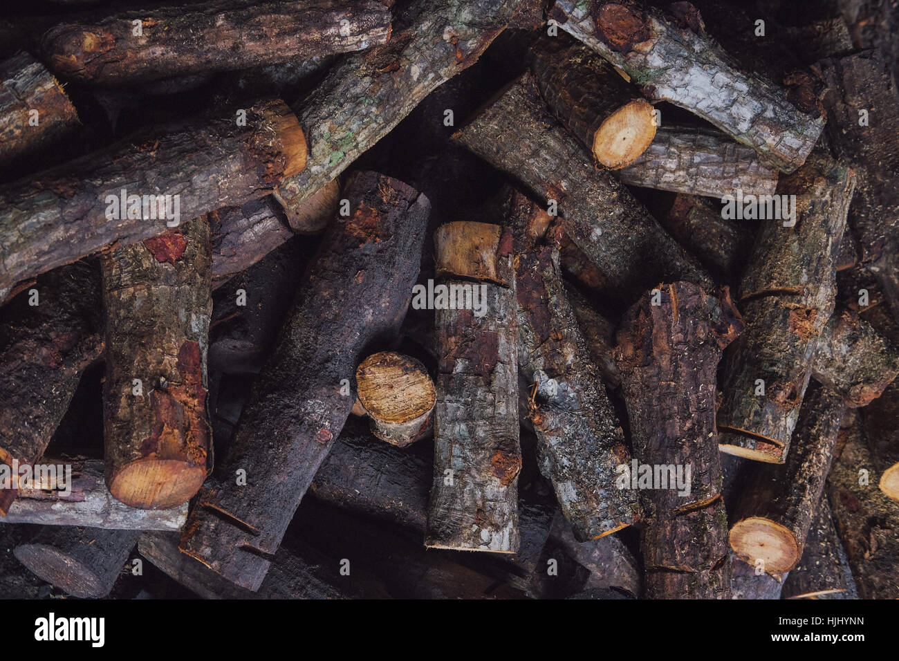 Une pile de bois de mangrove pour la fabrication du charbon à l'usine Banque D'Images
