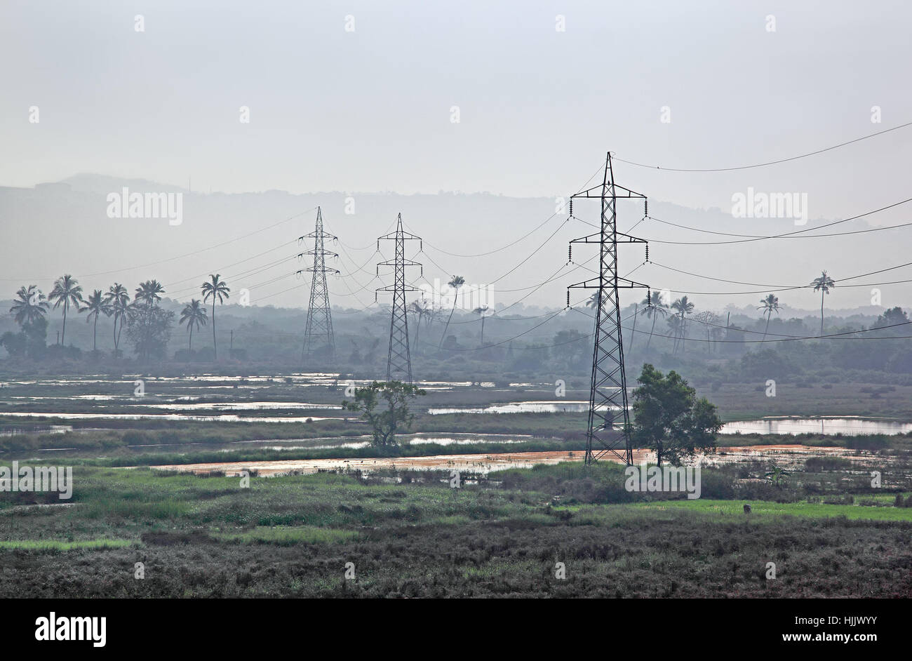 Matin scène d'énormes lignes traversant un terrain marécageux dans la campagne en Inde Banque D'Images