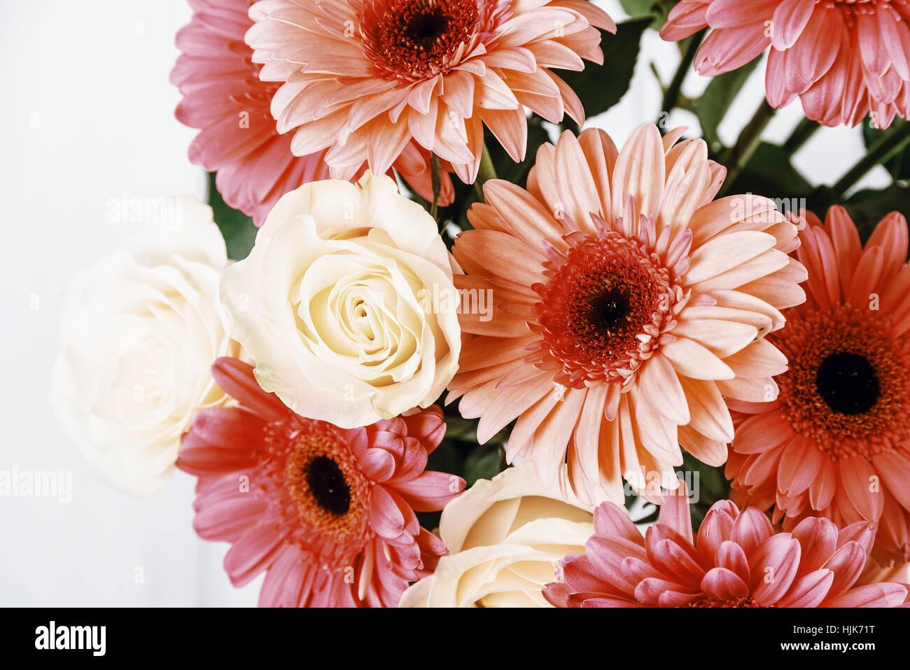 Gerbera rose Fleurs Marguerite Bouquet roses et blanches Banque D'Images