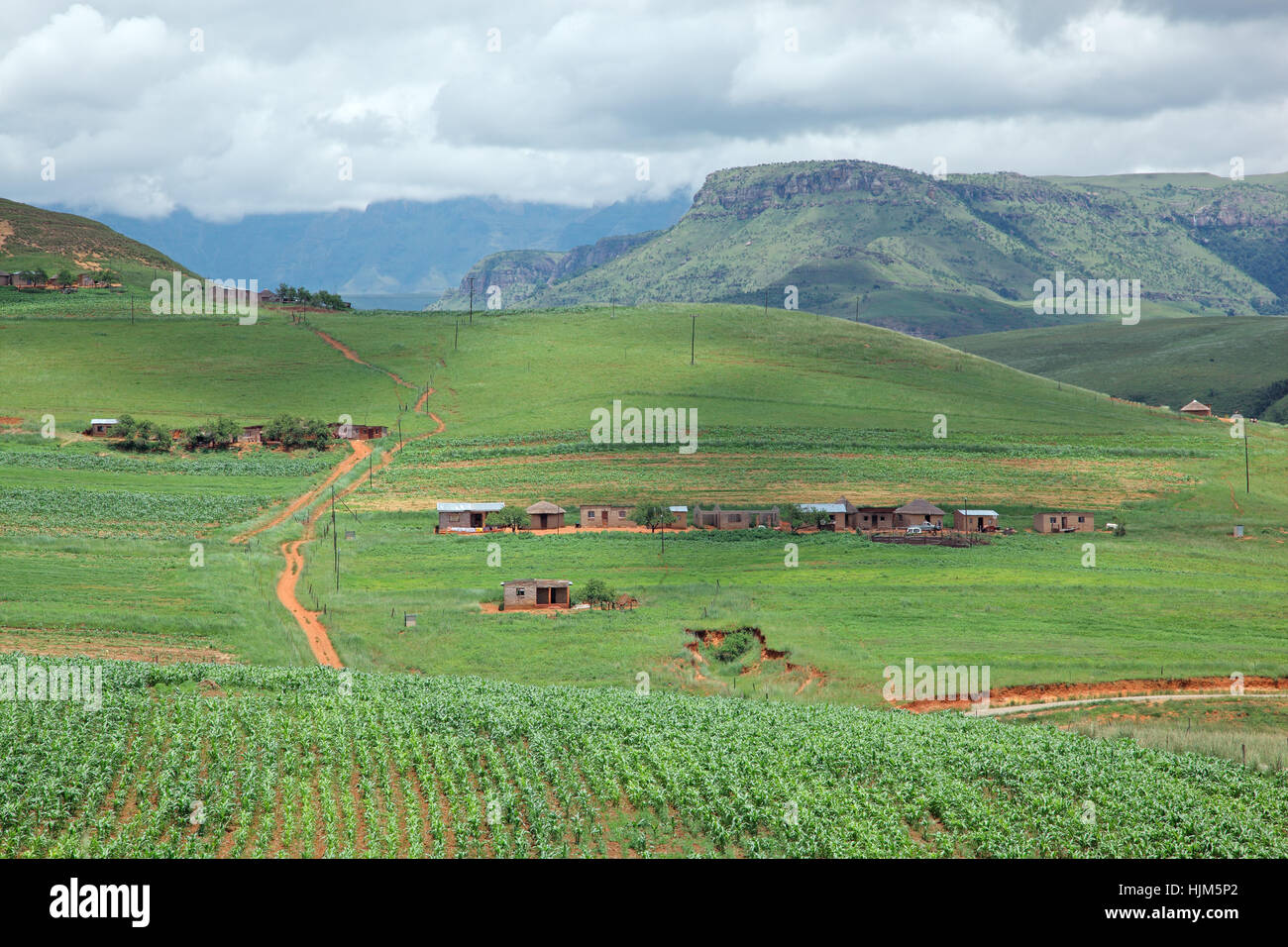 L'Afrique du Sud, traditionnelle, des terres, des huttes, cultivé, rural, immo, terrain, Banque D'Images