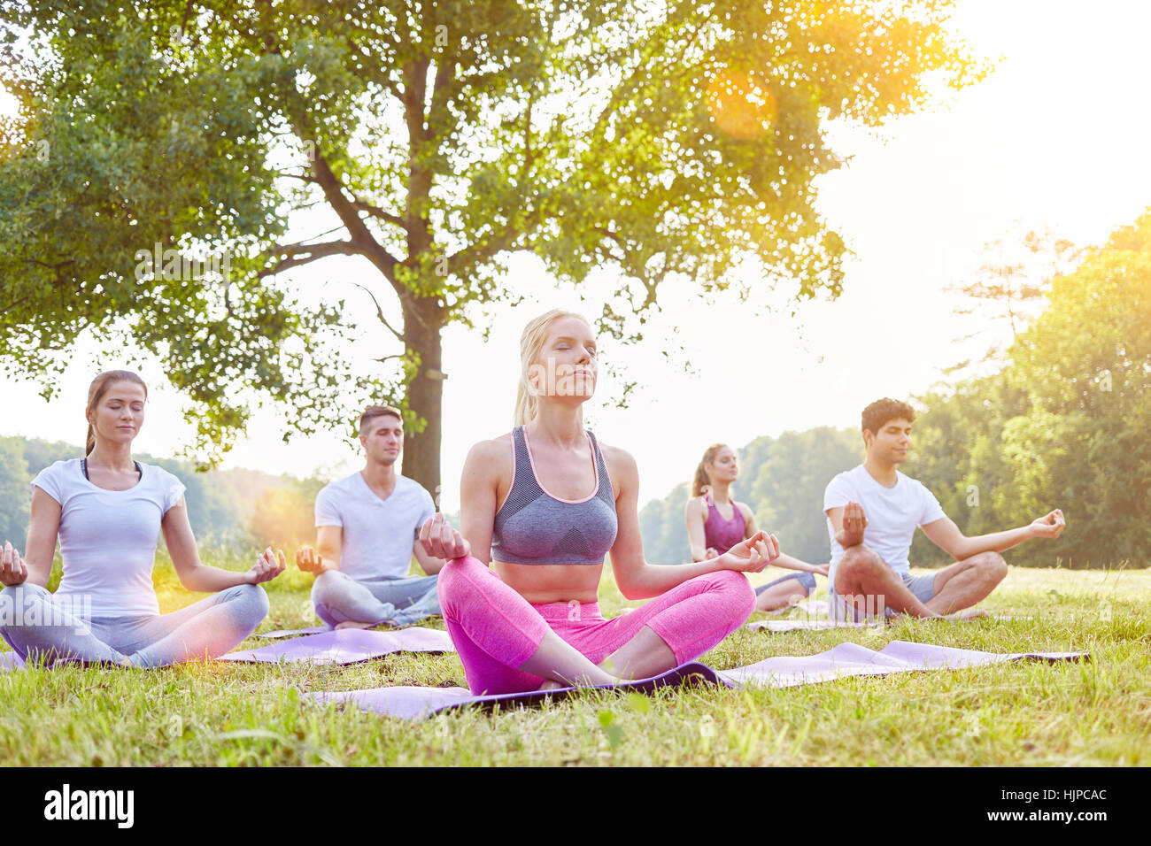 Méditation en groupe yoga en été dans la nature Banque D'Images