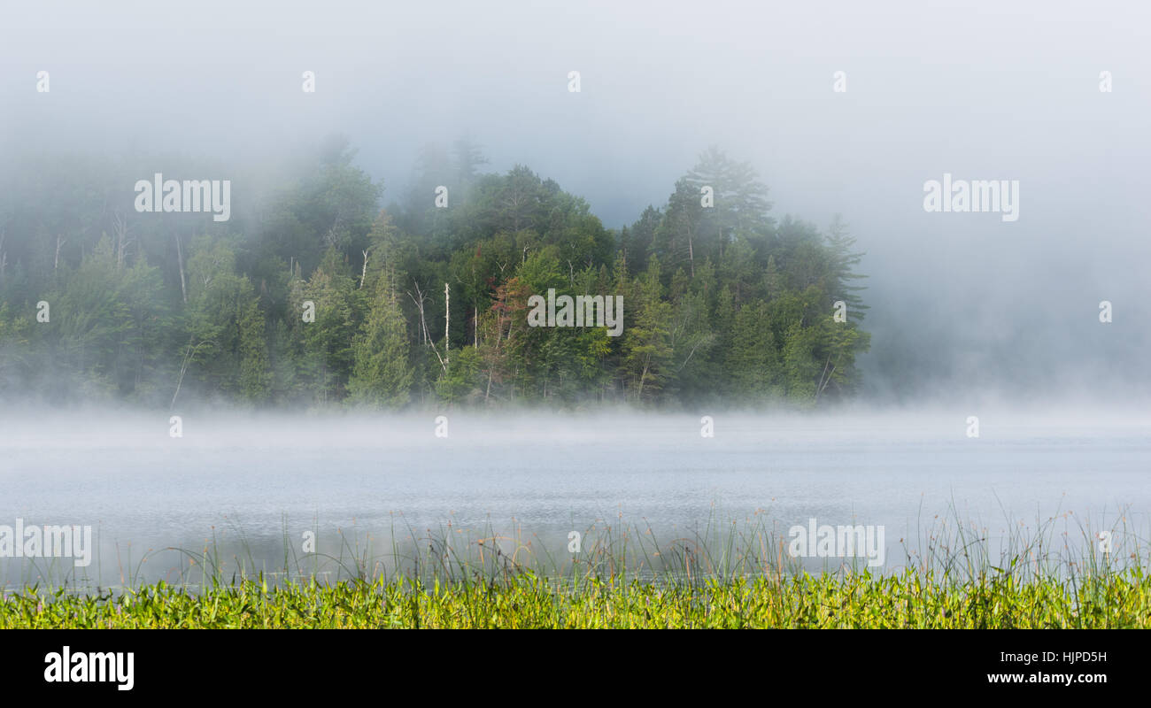 Le brouillard et la brume se lève tout autour, une fraîche engloutissant partiellement caduques au bord de la forêt de l'Est de l'Ontario à un lac. Banque D'Images