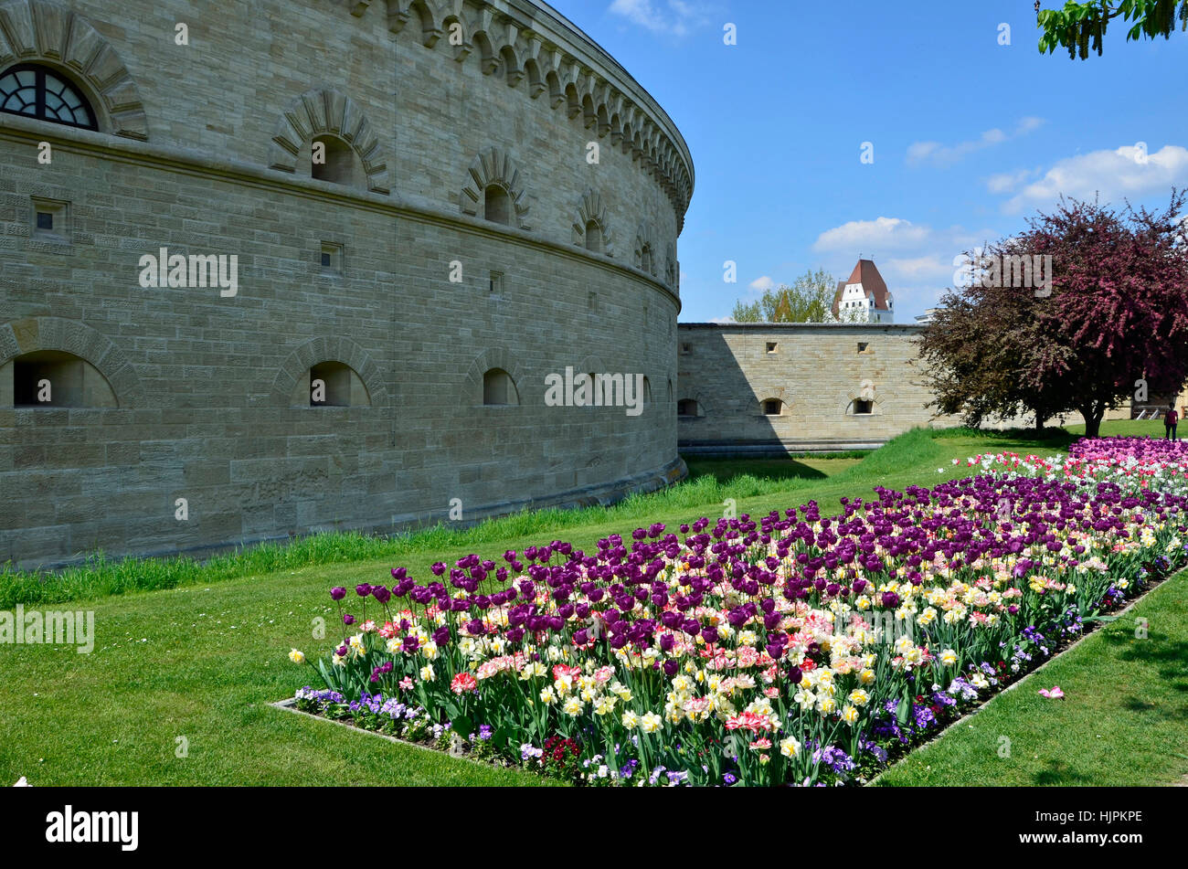 Parc, historique, fleur, fleurs, plantes, Bavaria, forteresse, bastion, maison, Banque D'Images