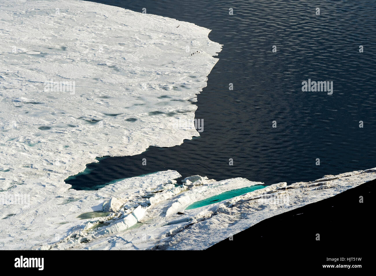 La fonte de la glace de mer bord où il rencontre l'océan ouvert durant l'été antarctique. Banque D'Images