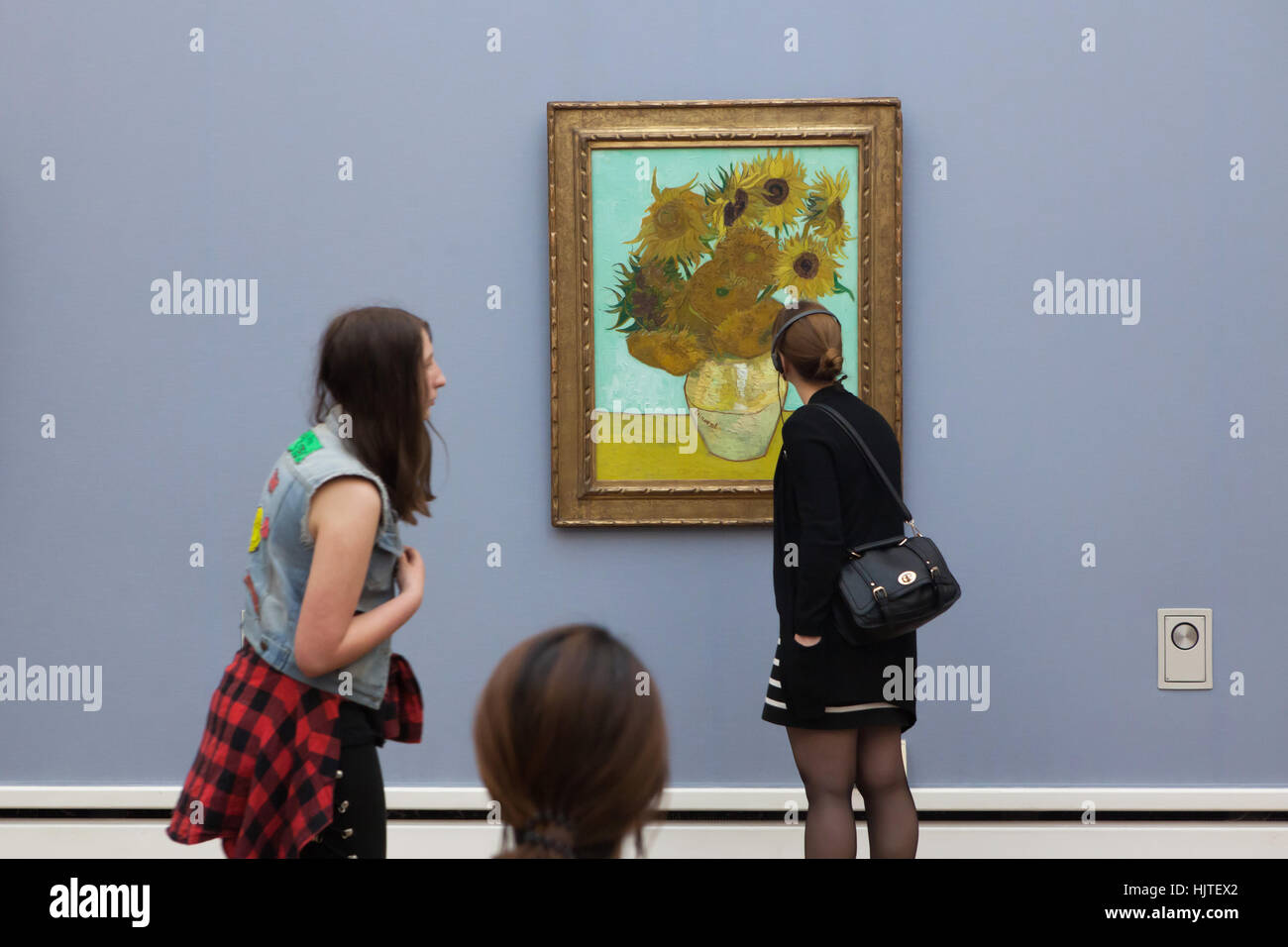 Visiteurs en face des peintures du tournesol (1888) par le peintre post-impressionniste Vincent van Gogh affiche dans la Neue Pinakothek (Nouveau Pinacotheca) à Munich, Bavière, Allemagne. Banque D'Images