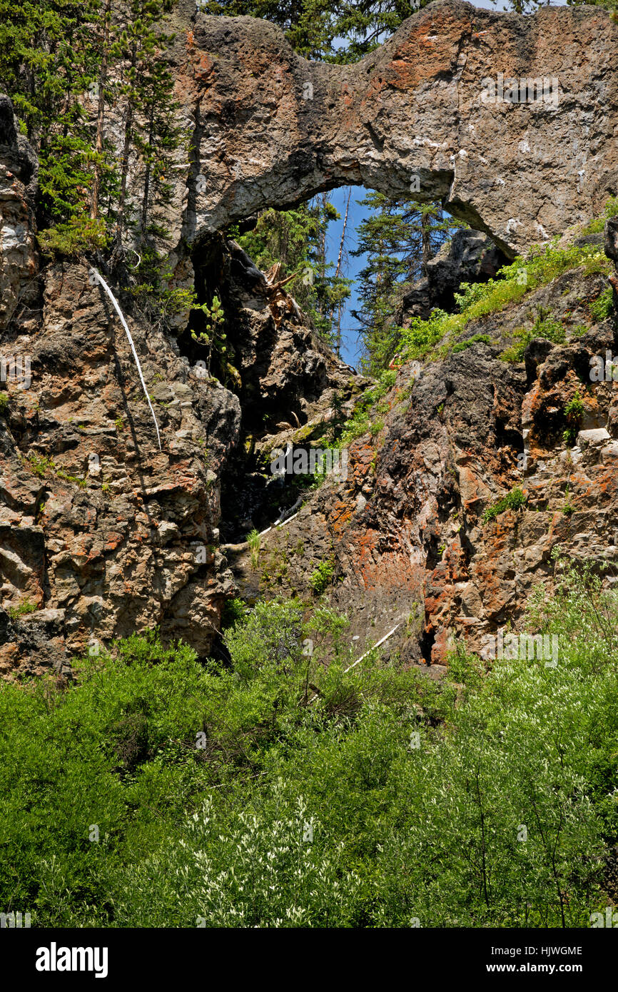 WY02185-00...WYOMING - Pont naturel près de Bridge Bay sur le lac Yellowstone dans le Parc National de Yellowstone. Banque D'Images