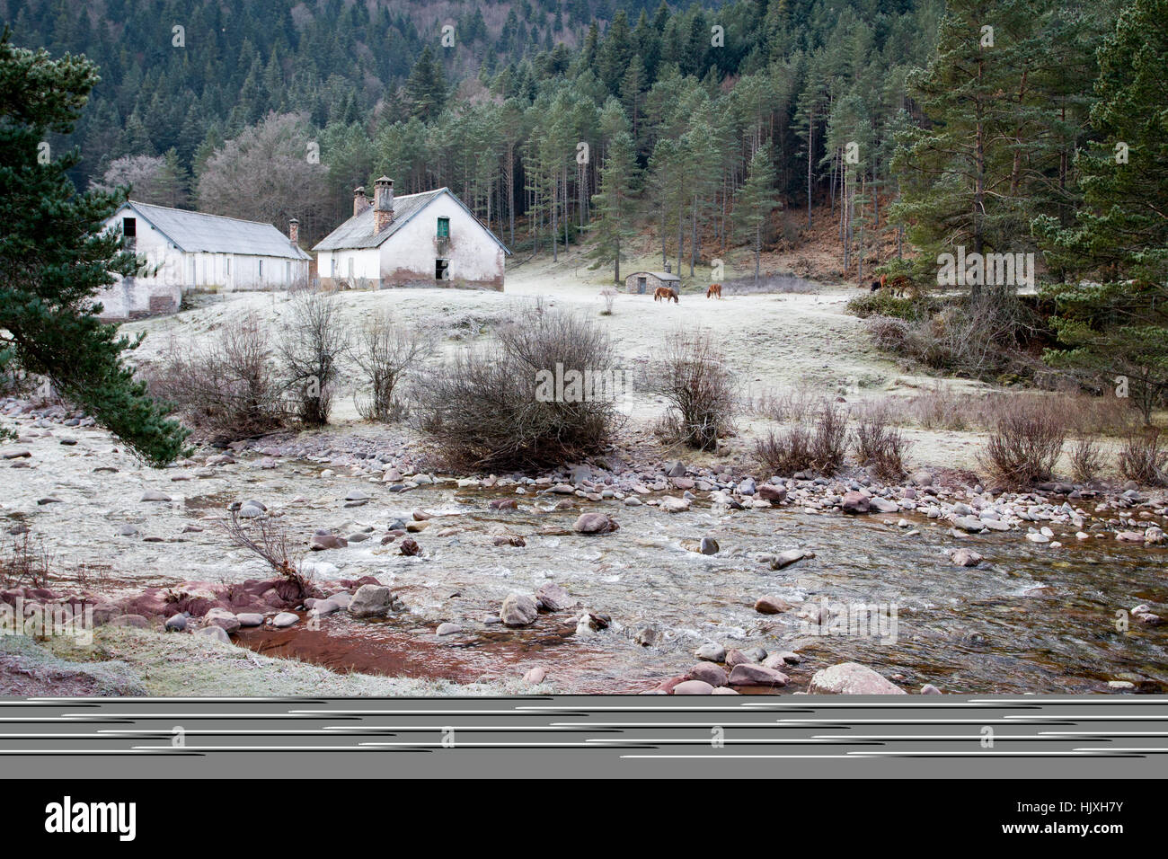 Gîte en Pyrénées, Oza, forêt, village de la vallée de Hecho Huesca, Aragon, Espagne. Banque D'Images