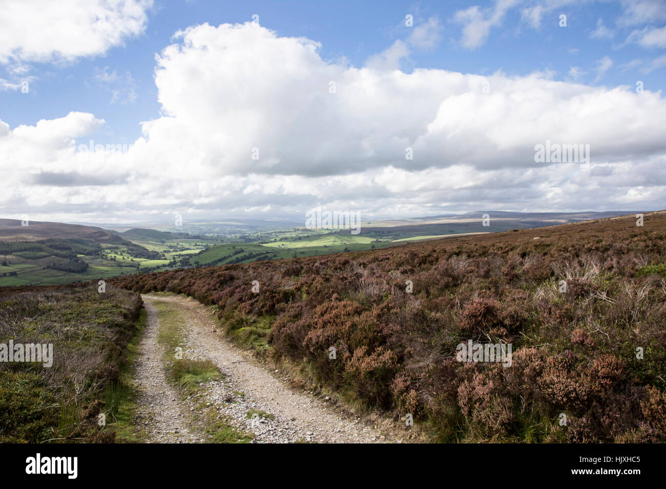 Avis de Simon du conducteur dans le Yorkshire Dales de Wensleydale Banque D'Images