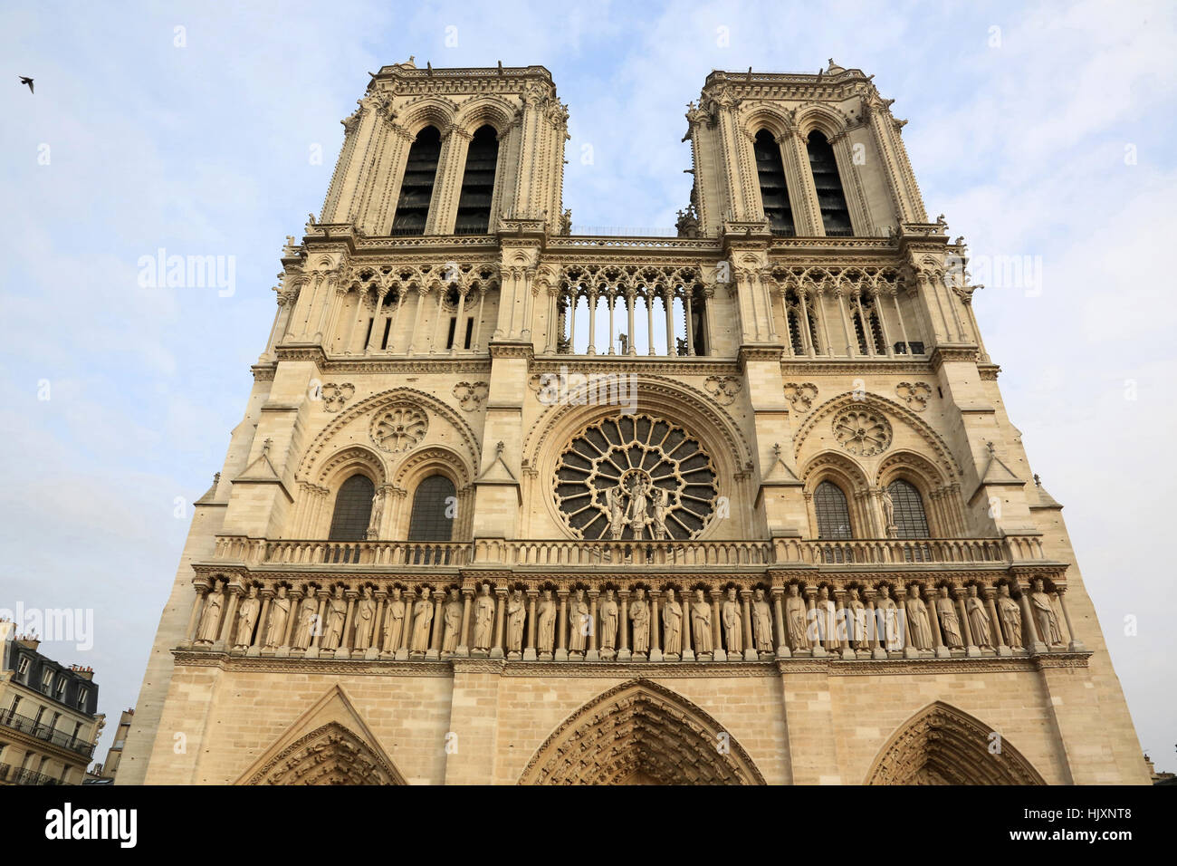 La cathédrale Notre-Dame de Paris. Banque D'Images