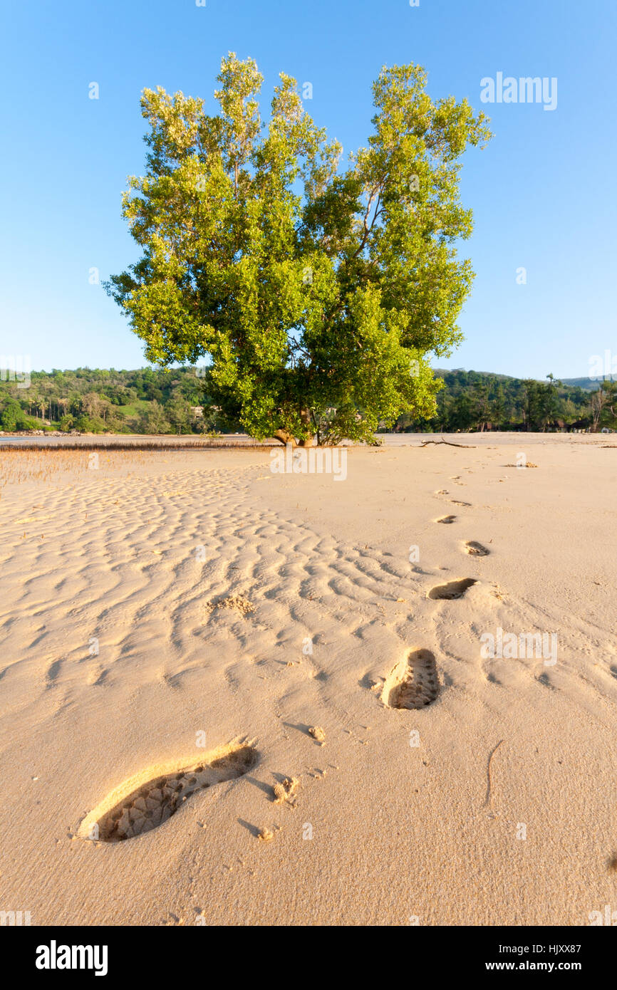 Des empreintes de pas dans le sable à Layan Beach, Phuket, Thailand Banque D'Images