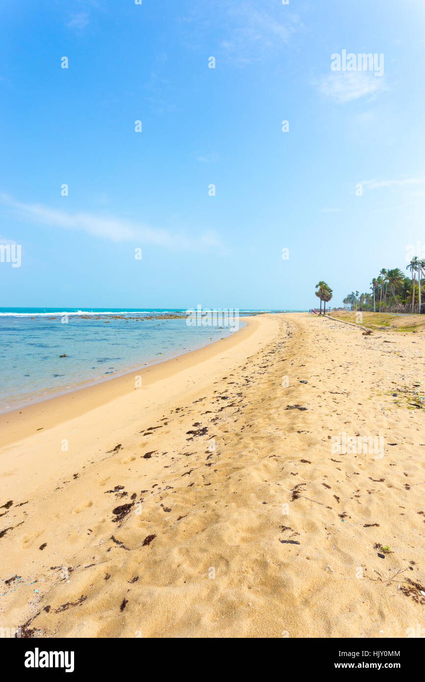 Avec une plage de sable parsemée de Point Pedro vu dans la litière, le long de la côte nord de Jaffna, au Sri Lanka. La verticale Banque D'Images