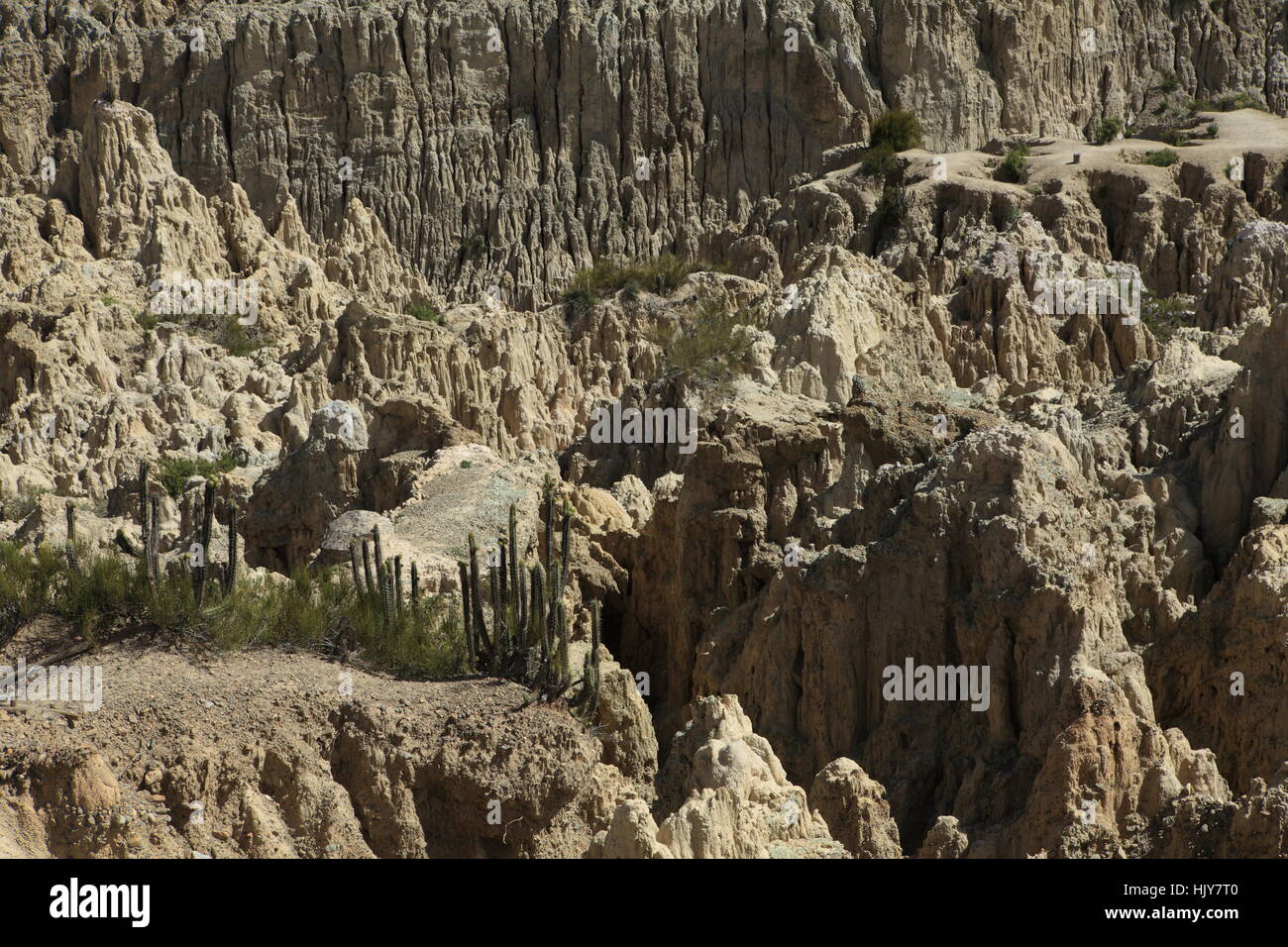 L'érosion, l'Amérique du Sud, Andes, Bolivie, de roche, l'érosion, l'Amérique du Sud, de la géologie, Banque D'Images