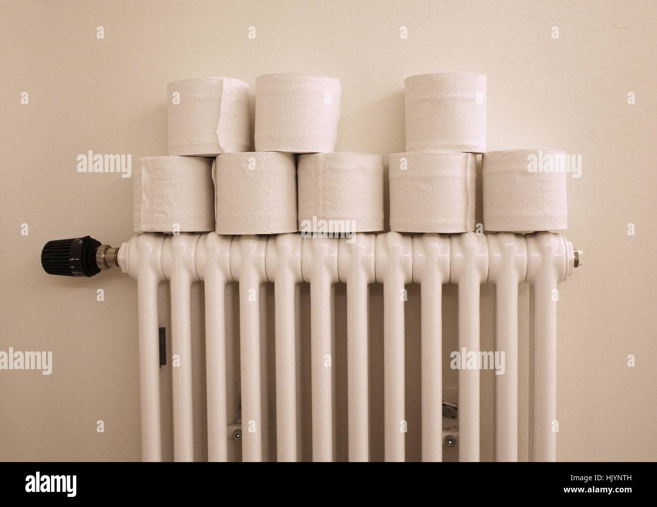 Rouleaux de papier toilette sont représentés dans une chambre d'hommes publics dans un musée à Berlin le 26 décembre 2016. Photo : Wolfram Steinberg/dpa | conditions dans le monde entier Banque D'Images