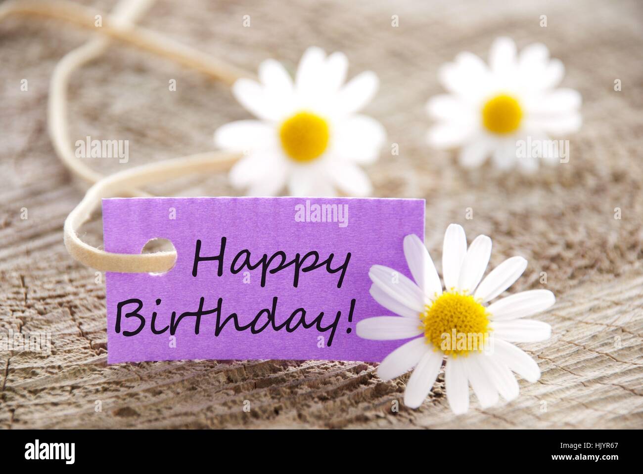 Happy Birthday Written On Purple Banque D Image Et Photos Alamy Happy Birthday Written On Purple Banque D Image Et Photos Alamy