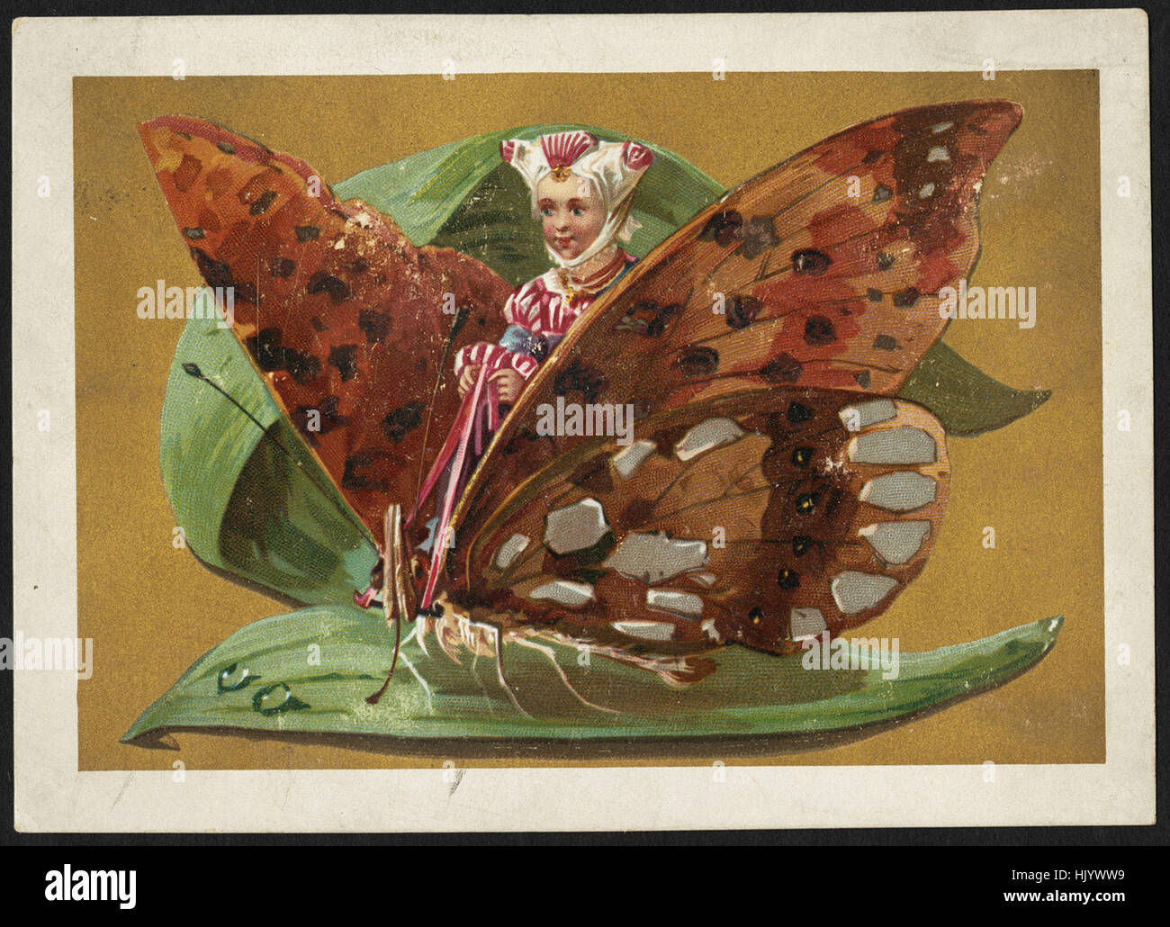 Girl riding butterfly sitting on a leaf Banque D'Images