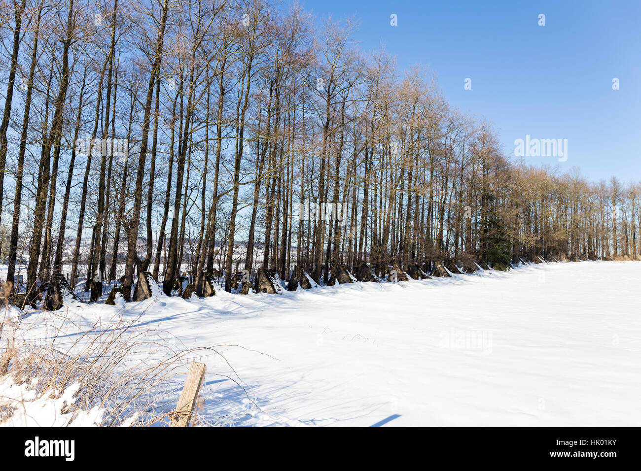 Obstacles à l'hiver du réservoir - qu'on appelle la ligne Siegfried Banque D'Images