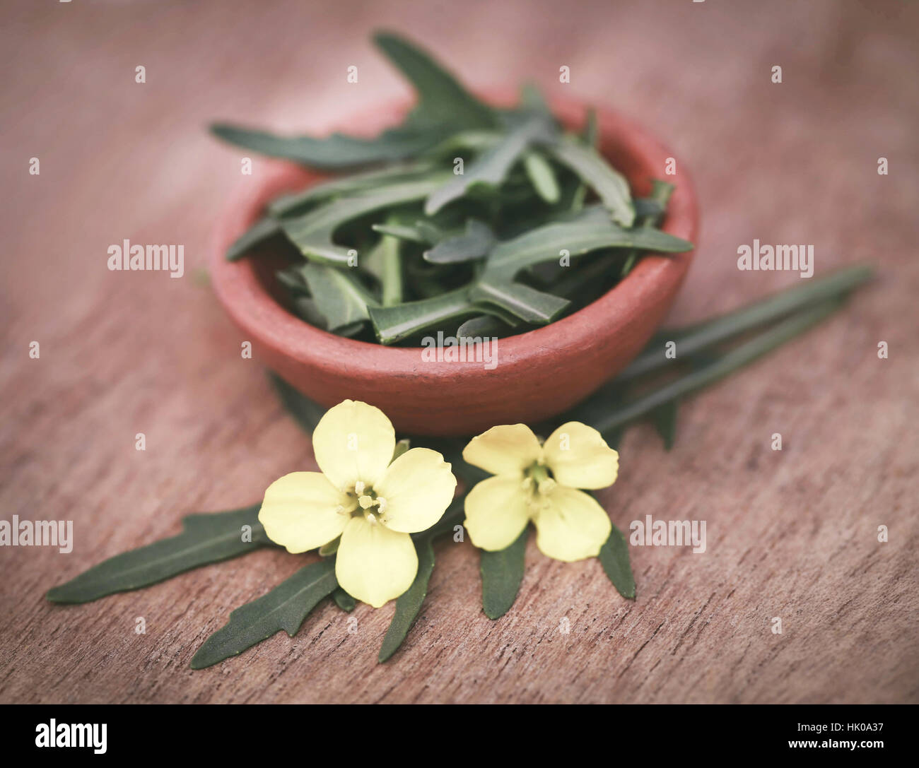 Feuilles de roquette roquette fraîche ou avec des fleurs Banque D'Images