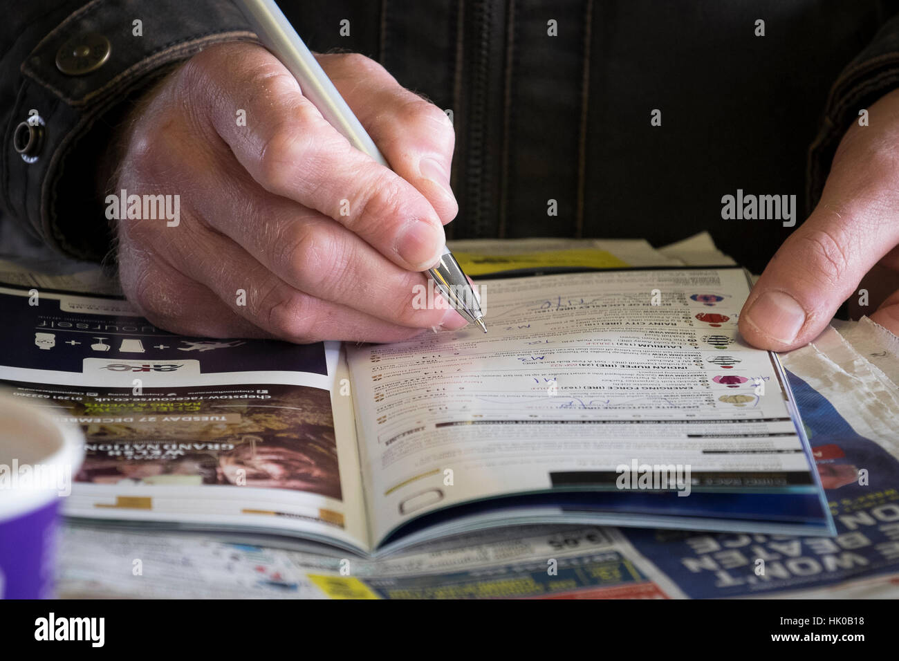 Les courses de chevaux : étudier le guide Banque D'Images
