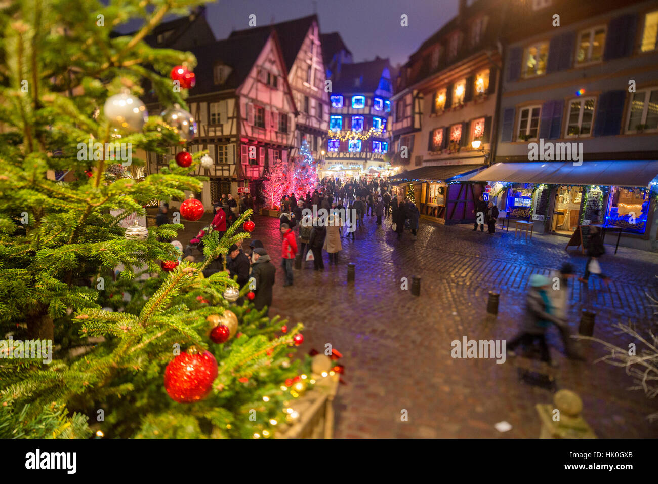 Lumières colorées sur les arbres de Noël et des ornements au crépuscule, Colmar, Haut-Rhin, Alsace, France Banque D'Images