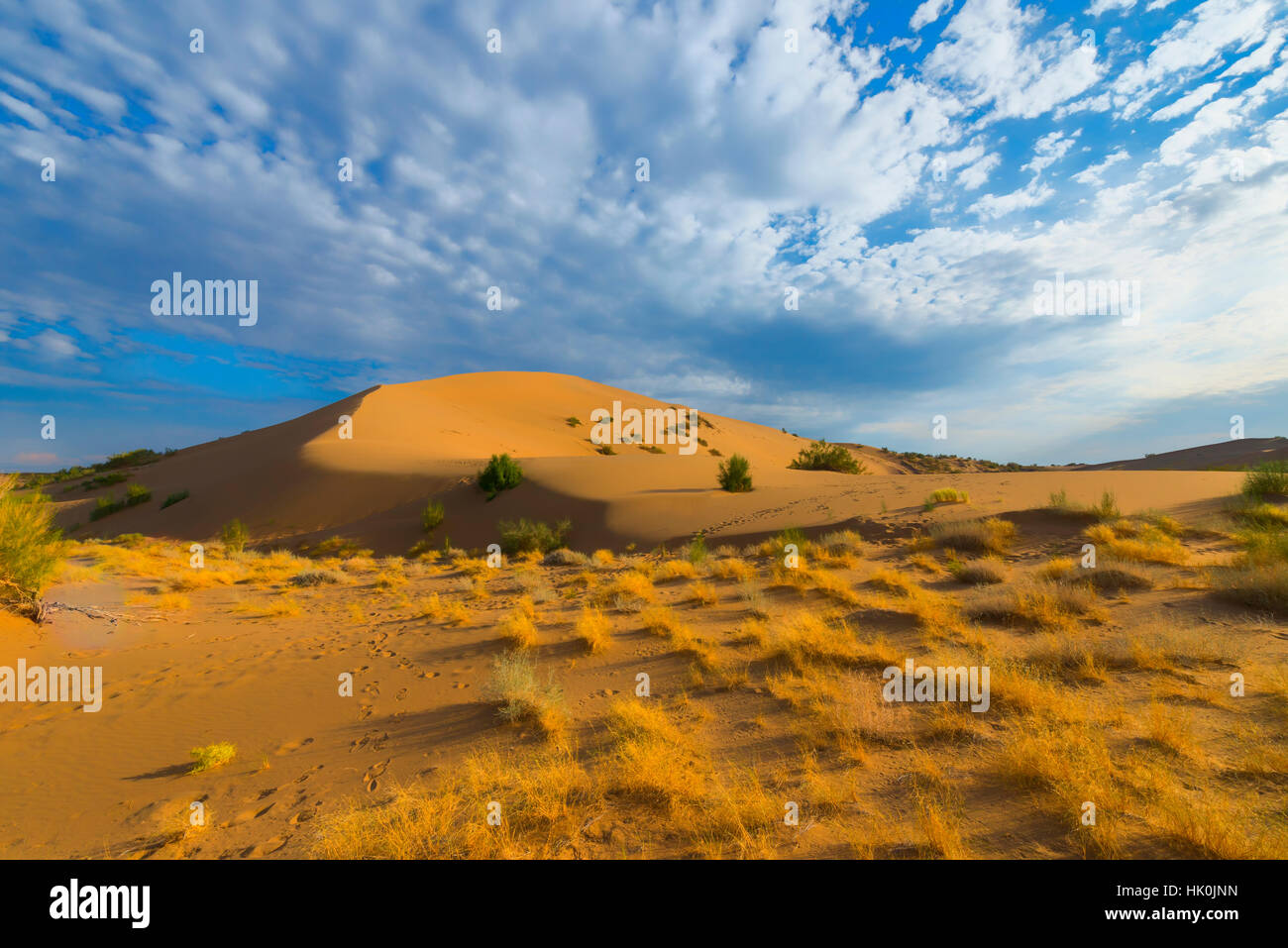 Le chant des dunes, Altyn-Emel National Park, région d'Almaty, Kazakhstan, en Asie centrale Banque D'Images