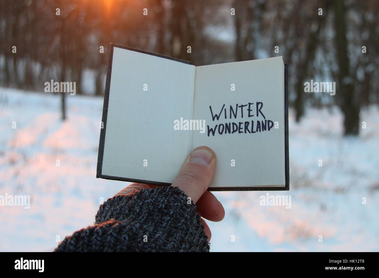 Winter Wonderland idée. Livre avec l'inscription Banque D'Images