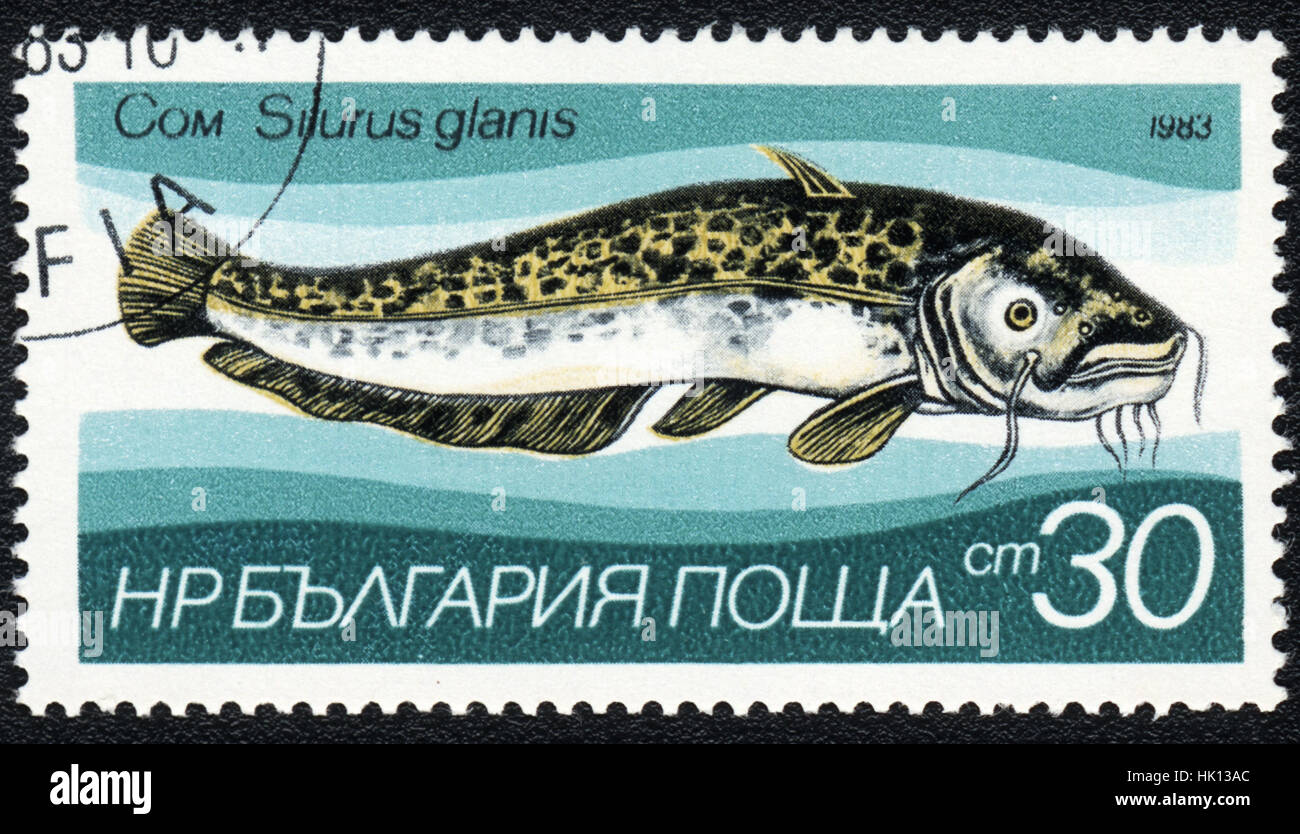 Un timbre-poste imprimé en Bulgarie montre un poisson Silurus glanis, série, vers 1983 Banque D'Images