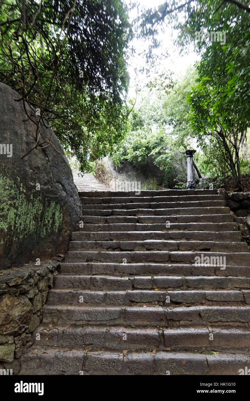 Ceylan, temple, Dieu, la culture, la statue, la grotte, l'Asie, Bouddha, rock, Golden, Banque D'Images