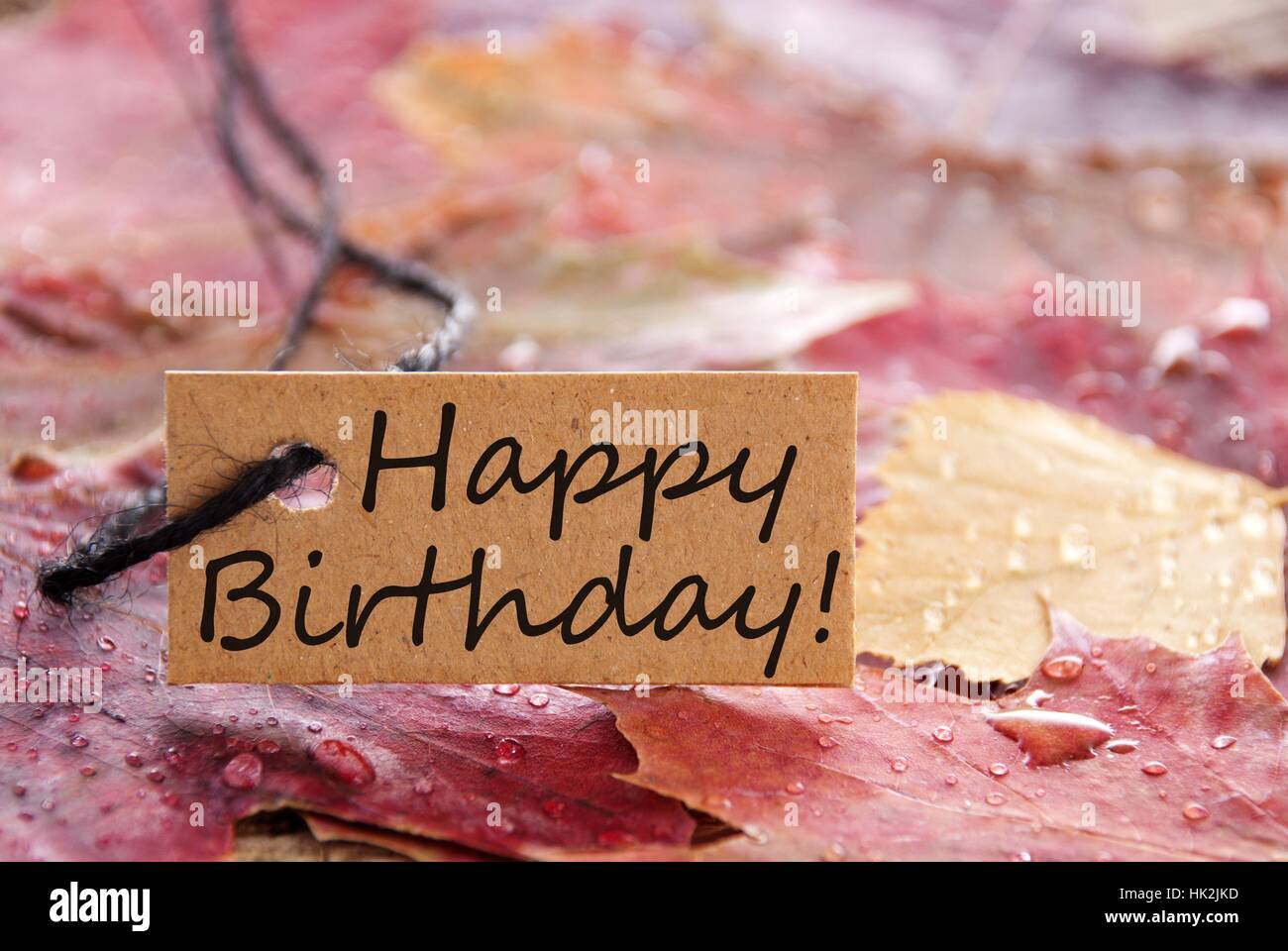 Un Brown Joyeux Anniversaire Banniere Avec Les Feuilles D Automne En Arriere Plan Photo Stock Alamy Un Brown Joyeux Anniversaire Banniere Avec Les Feuilles D Automne En Arriere Plan Photo Stock Alamy