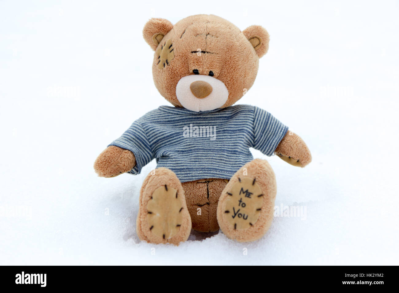 Un mignon petit ours en peluche brun dans la neige avec T-shirt rayé bleu et les mots 'me pour vous' sur sa patte arrière Banque D'Images