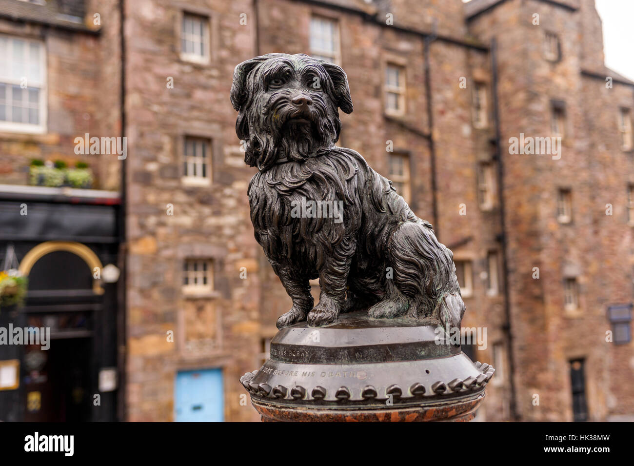 Kampa statue près de l'église de Greyfriars Grassmarket Édimbourg. Banque D'Images