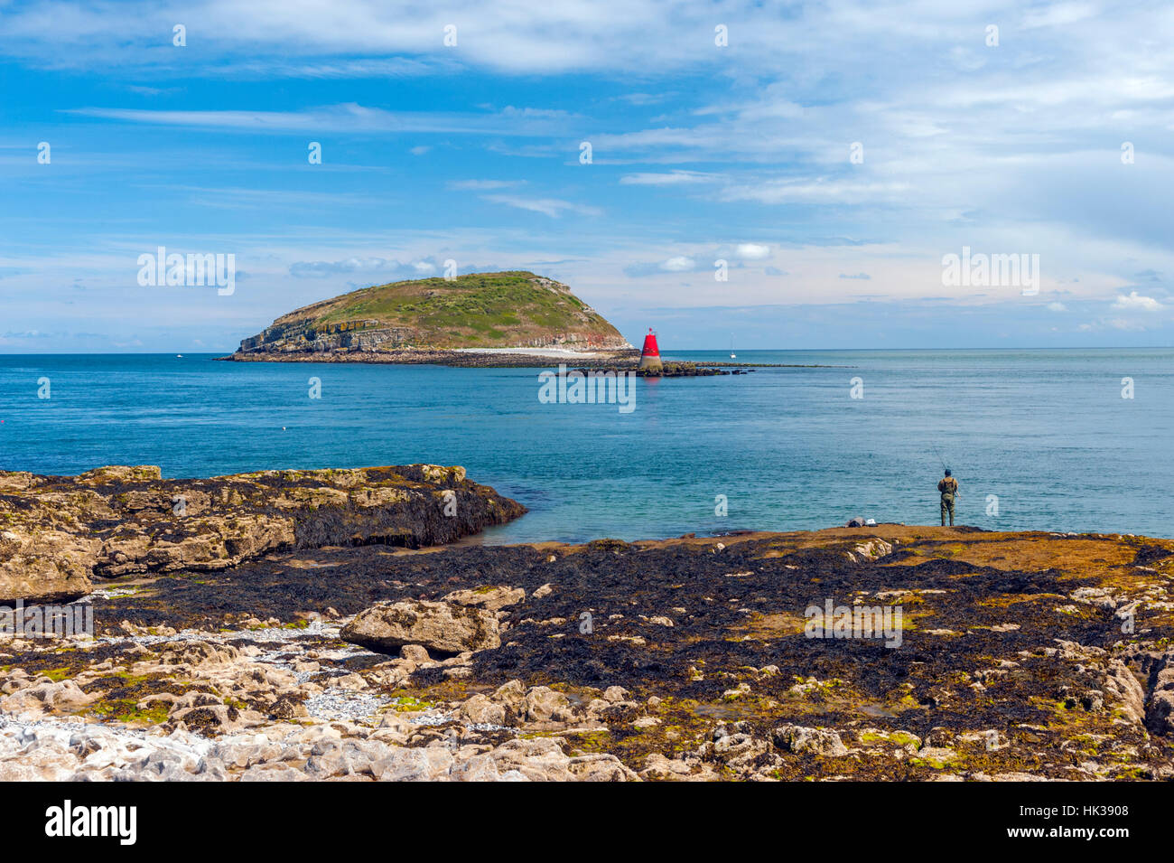 L'île de macareux du Parc-du Trwyyn Banque D'Images