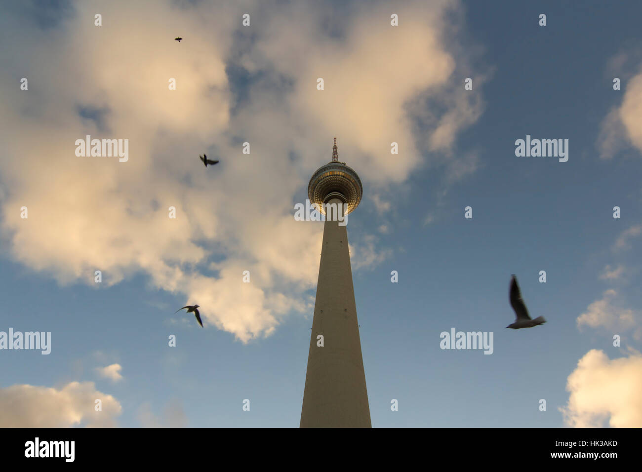 La tour de télévision ou Telecafè avec des oiseaux au coucher du soleil situé sur la place Alexanderplatz à Berlin, Allemagne Banque D'Images