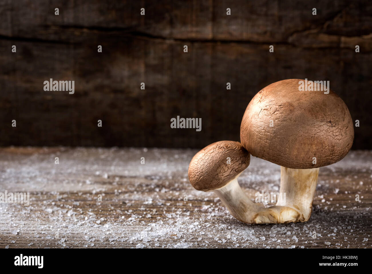 Deux champignons brun avec du sel sur fond de bois rustique Banque D'Images
