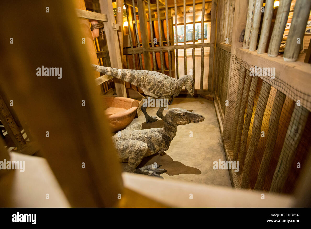 Williamstown, Massachusetts - Les dinosaures dans un modèle de l'arche mais par un groupe fondamentaliste chrétienne comme un parc à thème. Banque D'Images