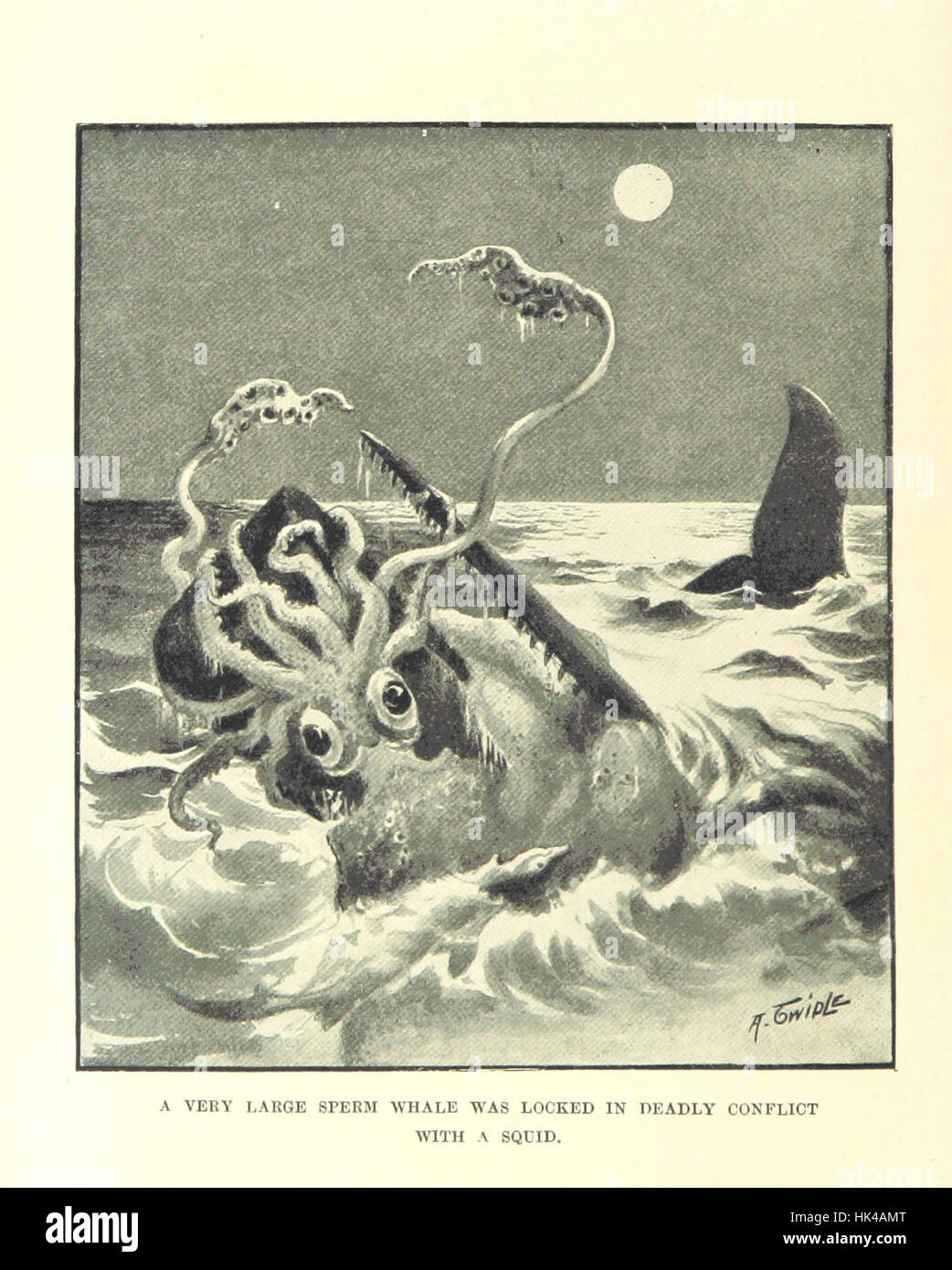 Image prise à partir de la page 176 de "La croisière du "Cachalot" le tour du monde après le sperme-baleines, etc' image prise à partir de la page 176 de "La C Banque D'Images