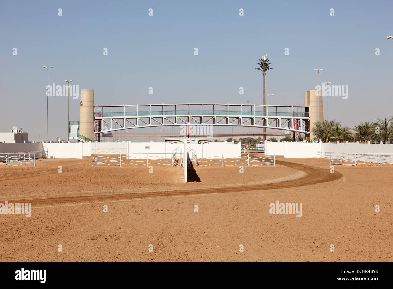 Bien sûr les courses de chameaux à Dubai, UAE Banque D'Images