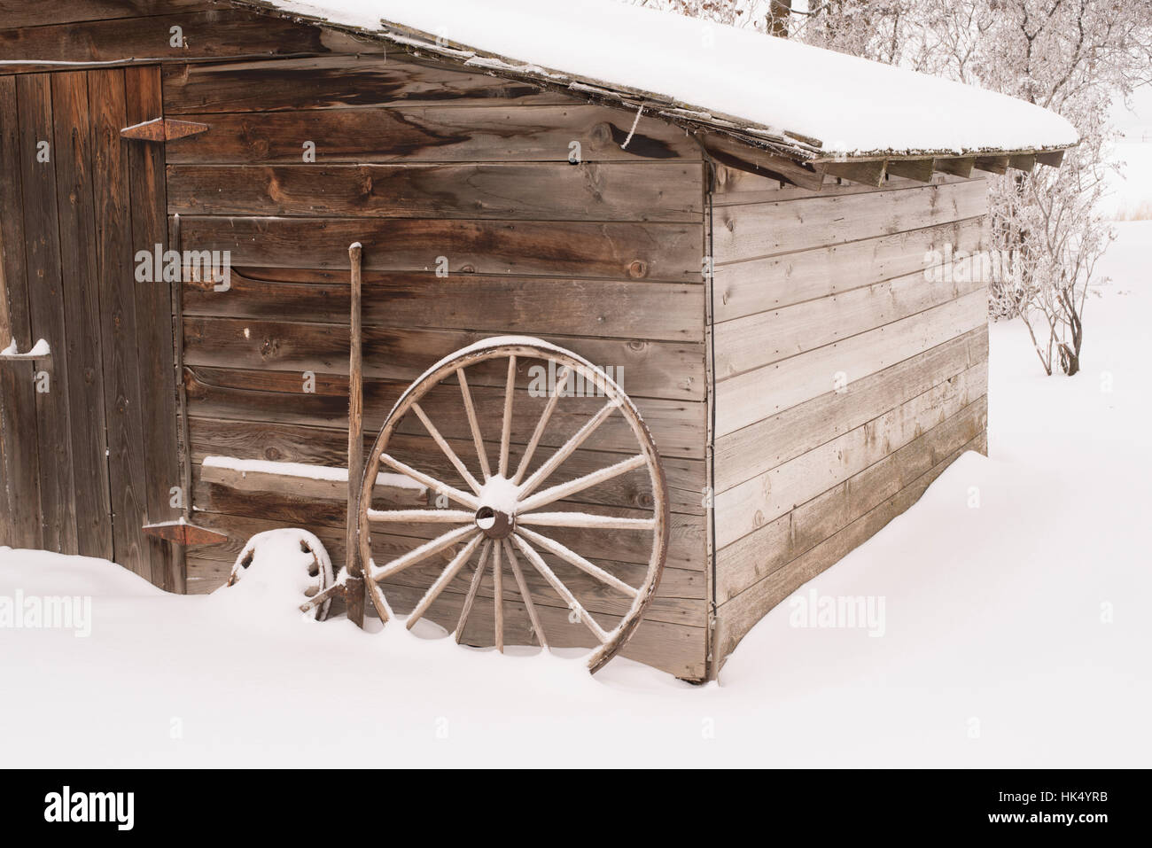 Hangar en bois patiné avec roues de charrette et la neige - la neige, la lumière oblique Banque D'Images
