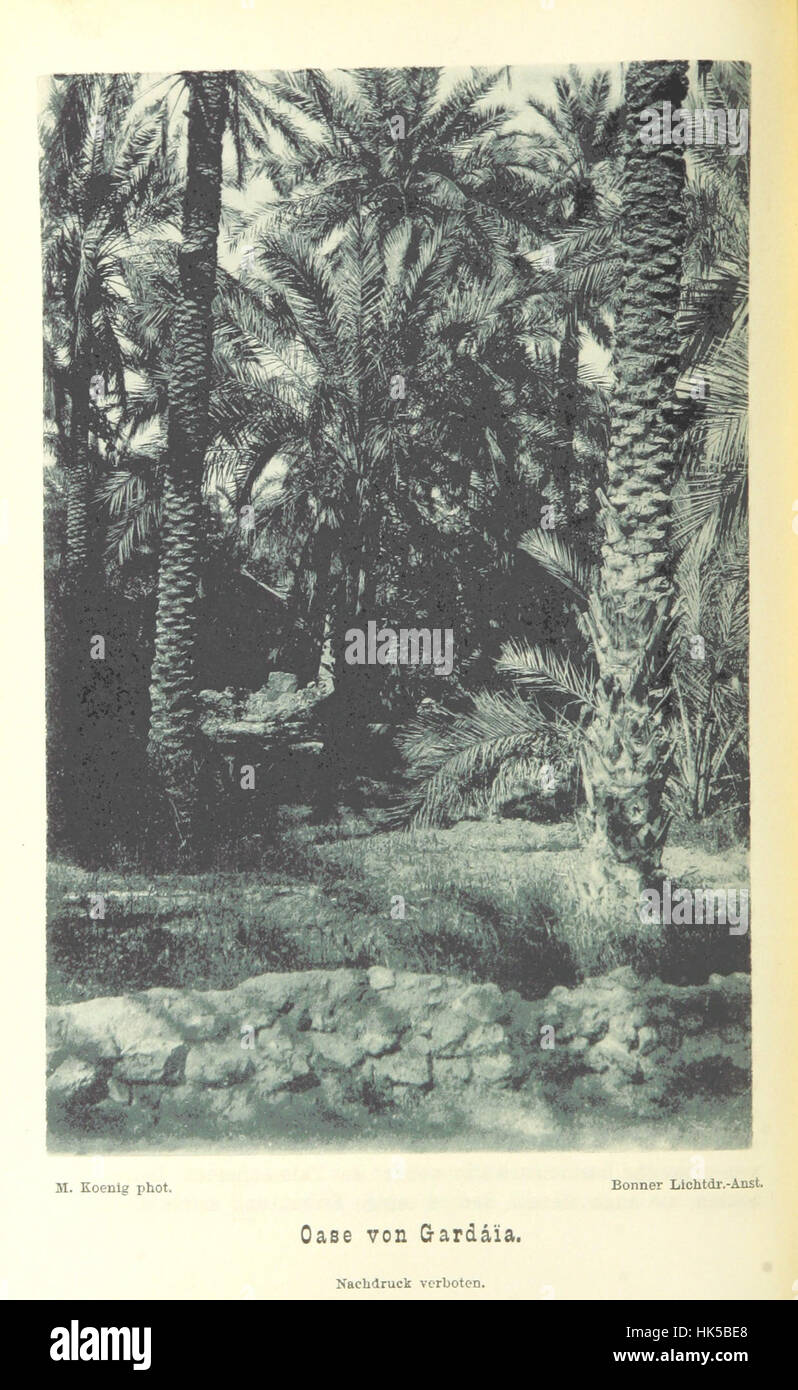 Une image de la page 180 de 'Reisen und Forschungen in Algérien', représentant des voyages et des recherches en Algérie, avec des illustrations supplémentaires documentant les découvertes clés et les paysages. Banque D'Images