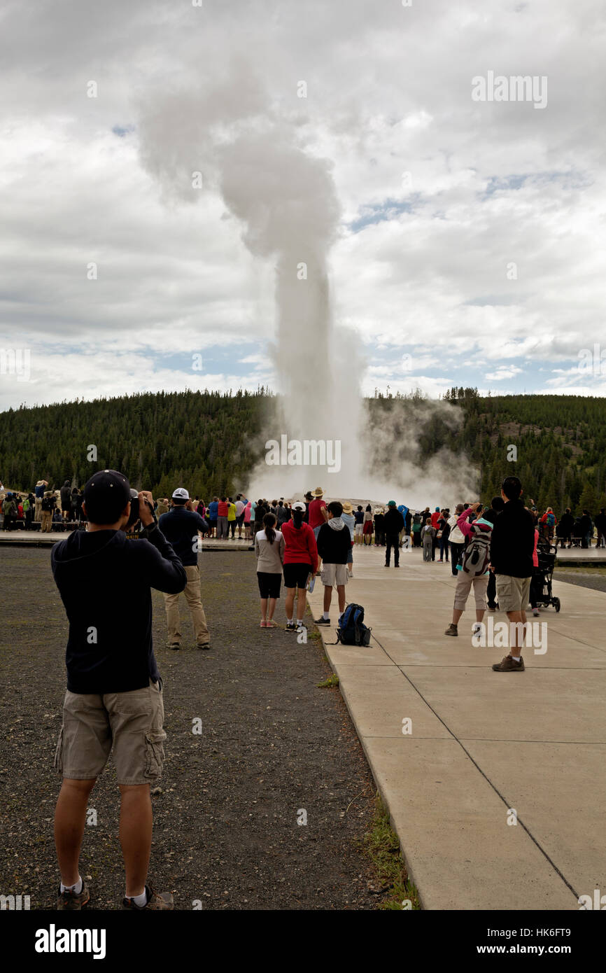 WY02208-00...WYOMING - Touristes regardant une éruption du geyser Old Faithful dans le Parc National de Yellowstone. Banque D'Images
