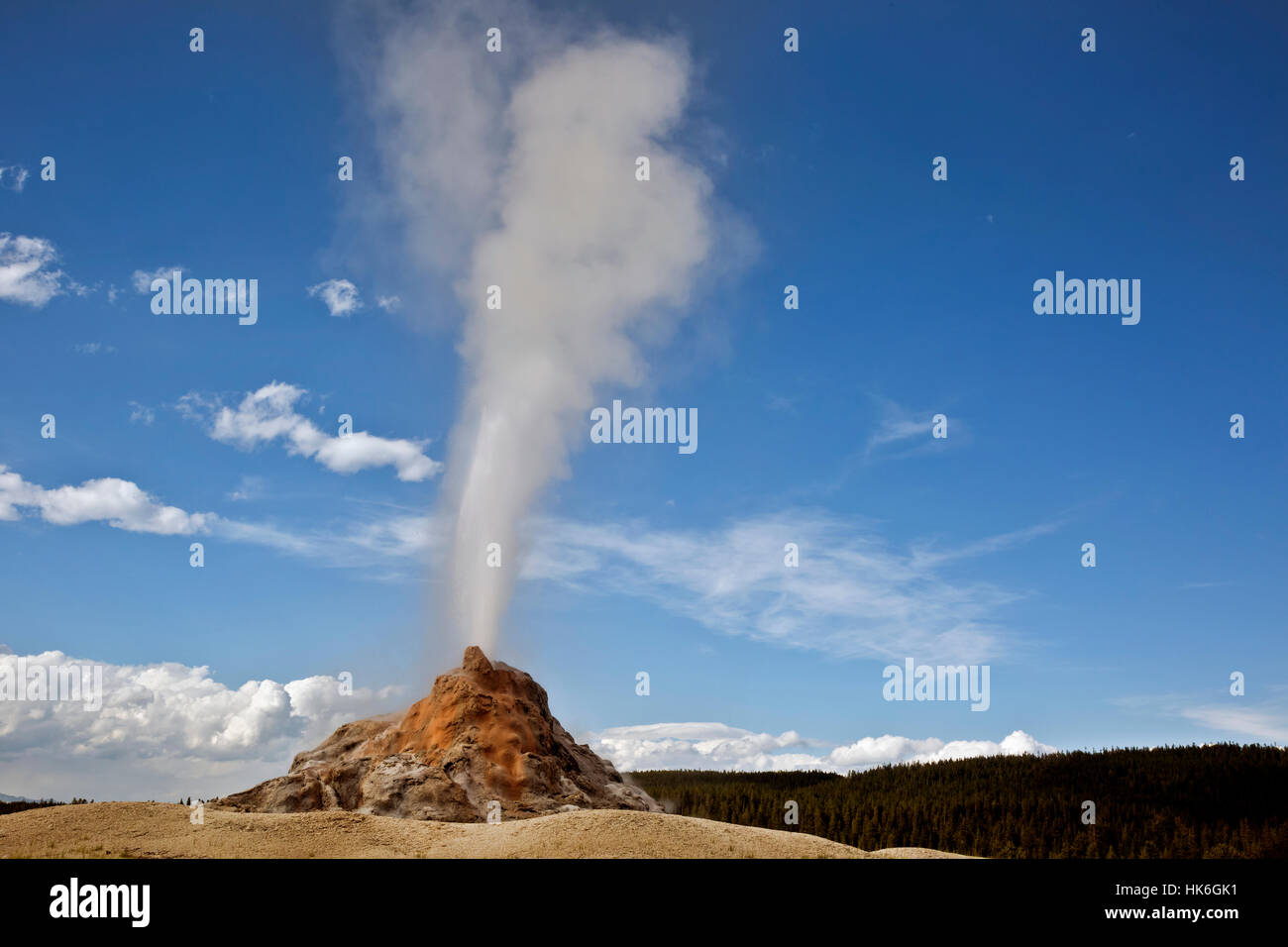 WY02218-00...WYOMING - White Dome Geyser sur Firehole Lake Drive dans le Parc National de Yellowstone. Banque D'Images