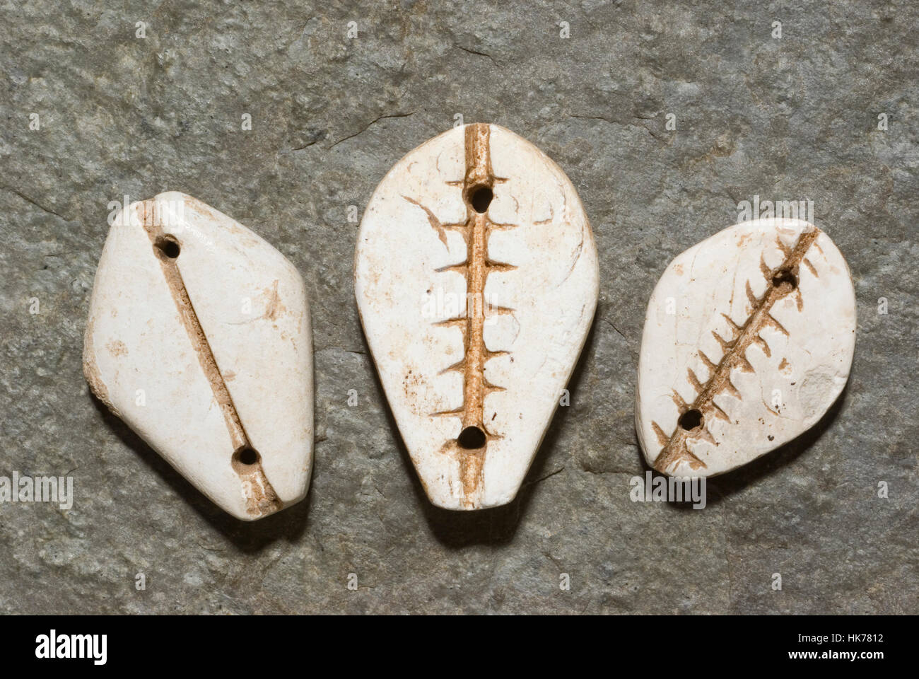 Les Chinois anciens Cowrie Shell Imitations dans Jade. Banque D'Images