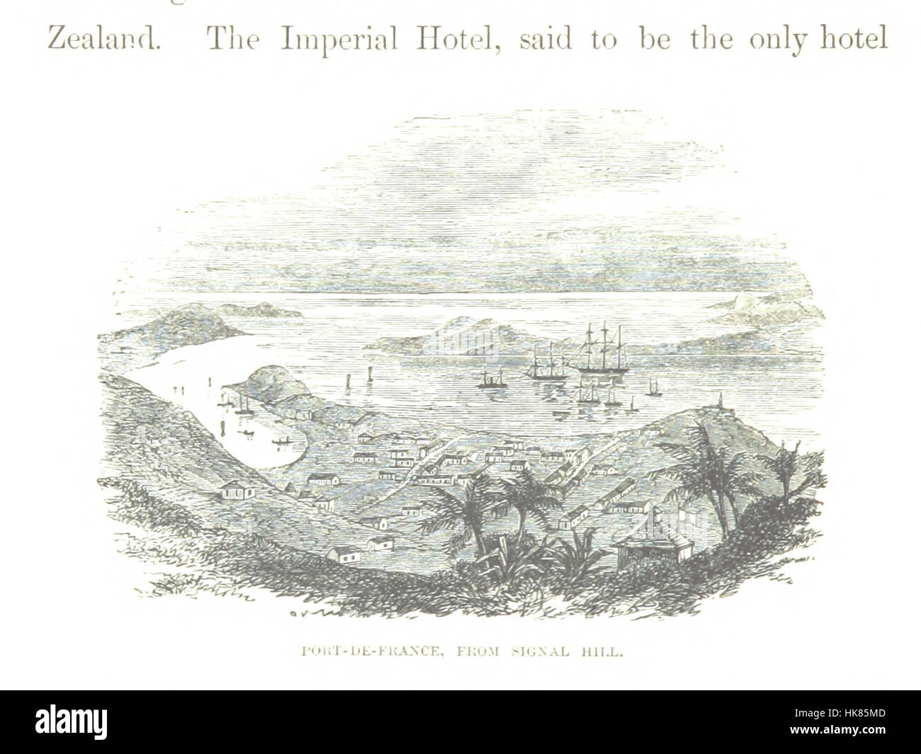 Une image de la page 392 de 'Jottings During the Cruise of H.M.S. Curacoa', détaillant un voyage à travers les îles de la mer du Sud en 1865, avec des observations d'histoire naturelle et des illustrations de G. R. Gray, A. C. L. G. Guenther, et d'autres. Banque D'Images
