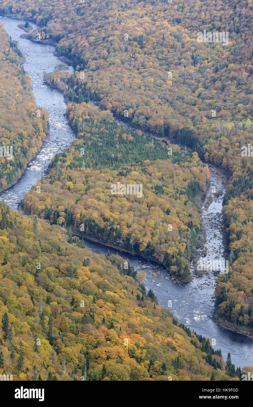 Rivière et forêt d'automne, Parc National de la Jacques-Cartier, Québec, Canada, octobre Banque D'Images